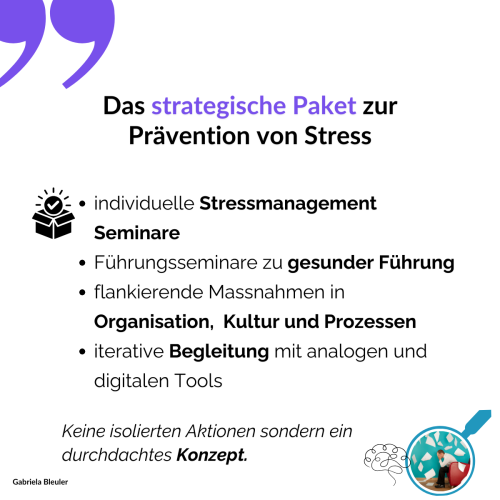 Das strategische Stressmanagement Paket